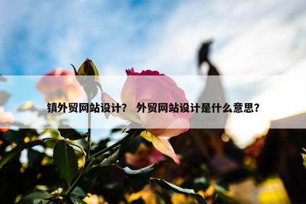 镇外贸网站设计？ 外贸网站设计是什么意思？