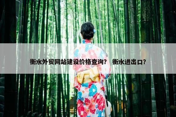 衡水外贸网站建设价格查询？ 衡水进出口？