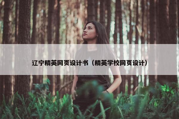 辽宁精英网页设计书（精英学校网页设计）