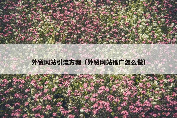 外贸网站引流方案（外贸网站推广怎么做）