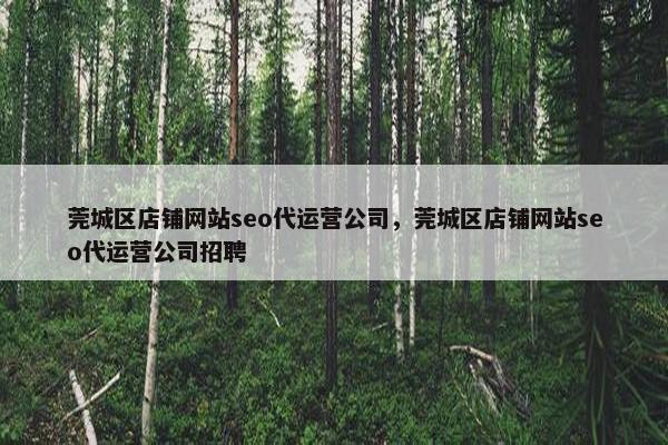 莞城区店铺网站seo代运营公司，莞城区店铺网站seo代运营公司招聘