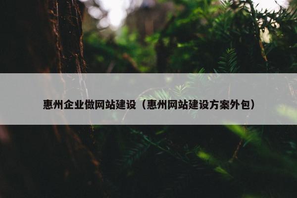 惠州企业做网站建设（惠州网站建设方案外包）