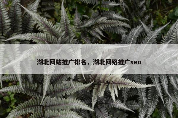 湖北网站推广排名，湖北网络推广seo