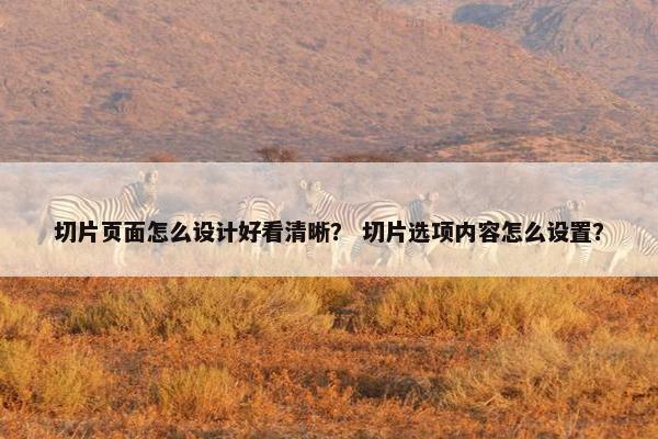 切片页面怎么设计好看清晰? 切片选项内容怎么设置? 切片页面怎么设计好看清晰? 切片选项内容怎么设置?