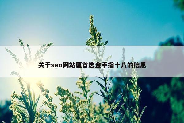 关于seo网站厘首选金手指十八的信息