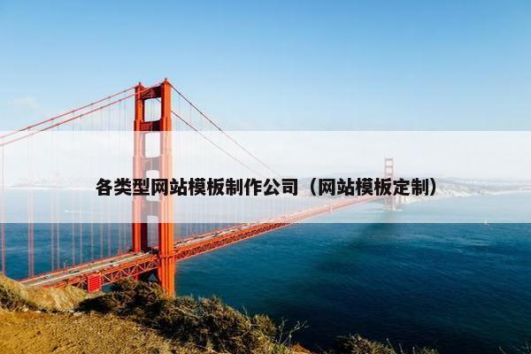 各类型网站模板制作公司（网站模板定制）