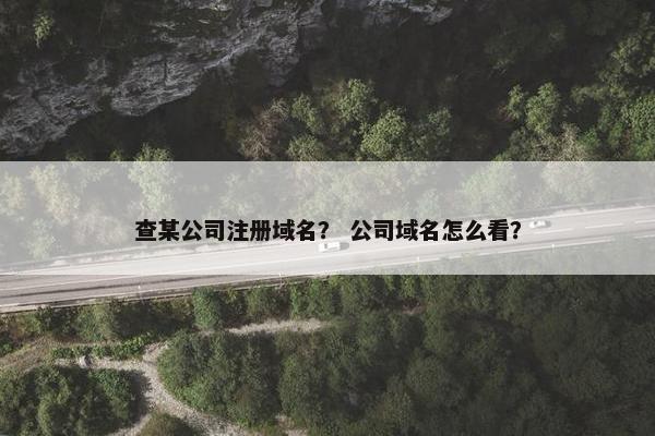 查某公司注册域名? 公司域名怎么看? 查某公司注册域名? 公司域名怎么看?