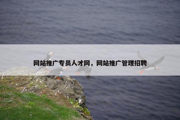 网站推广专员人才网，网站推广管理招聘