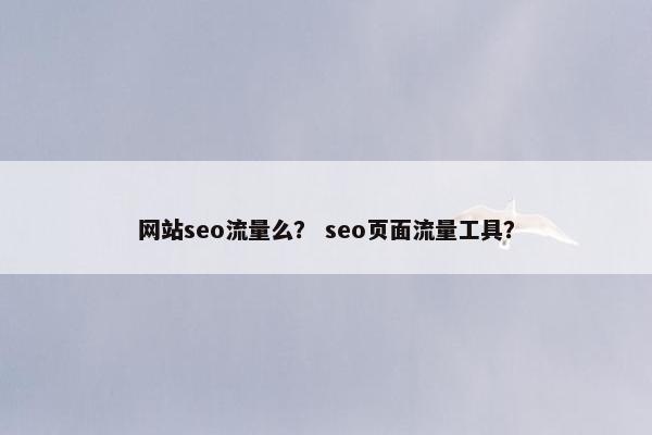 网站seo流量么？ seo页面流量工具？