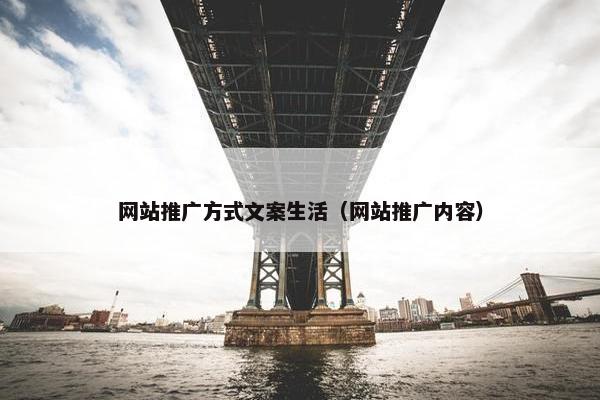 网站推广方式文案生活（网站推广内容）