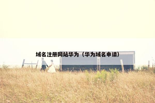 域名注册网站华为（华为域名申请）