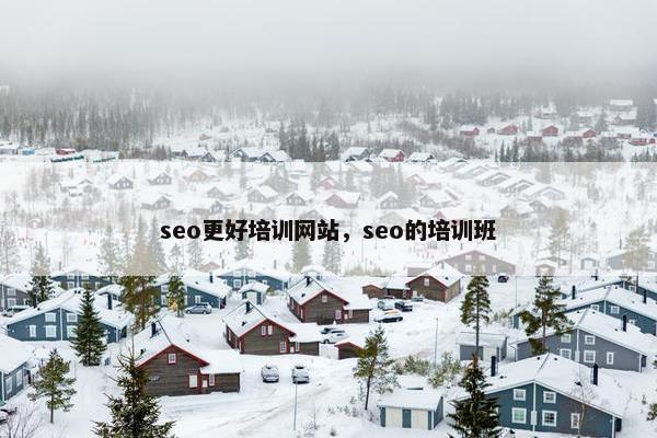 seo更好培训网站，seo的培训班