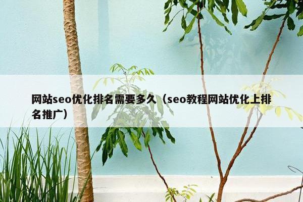 网站seo优化排名需要多久（seo教程网站优化上排名推广）