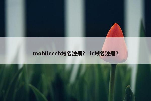 mobileccb域名注册？ lc域名注册？