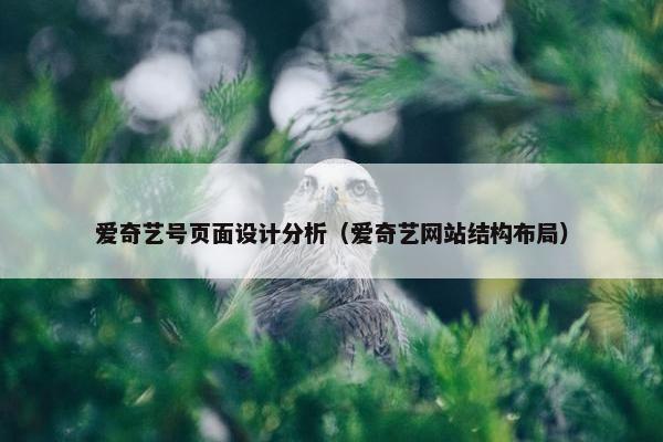 爱奇艺号页面设计分析（爱奇艺网站结构布局）