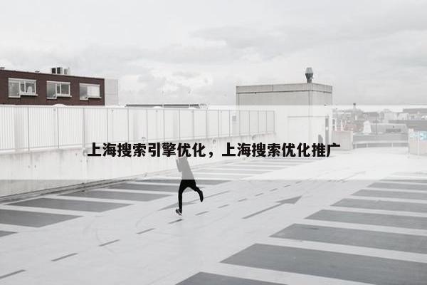 上海搜索引擎优化，上海搜索优化推广
