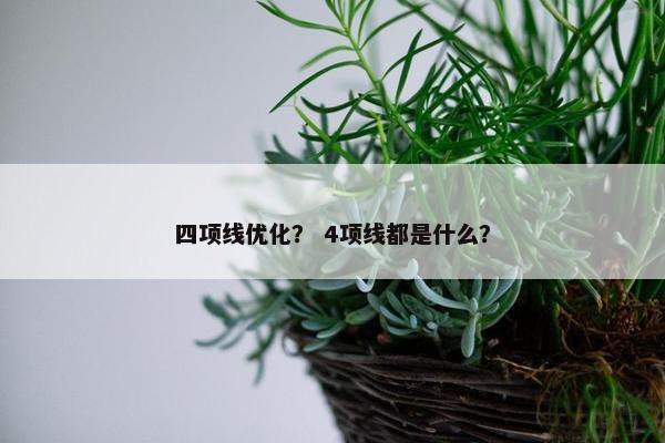 四项线优化？ 4项线都是什么？