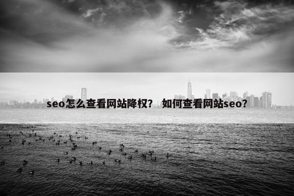 seo怎么查看网站降权？ 如何查看网站seo？