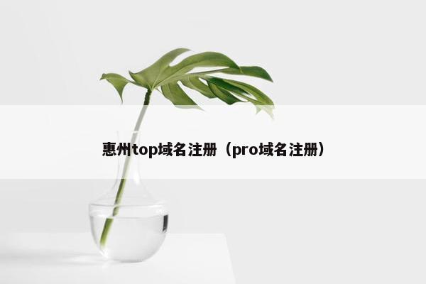 惠州top域名注册（pro域名注册）
