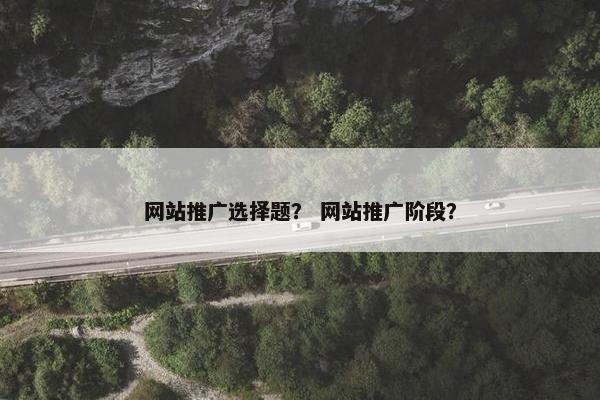 网站推广选择题？ 网站推广阶段？