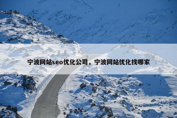 宁波网站seo优化公司，宁波网站优化找哪家