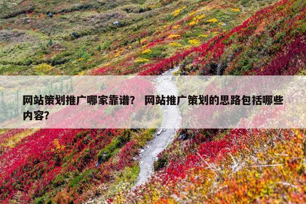 网站策划推广哪家靠谱？ 网站推广策划的思路包括哪些内容？