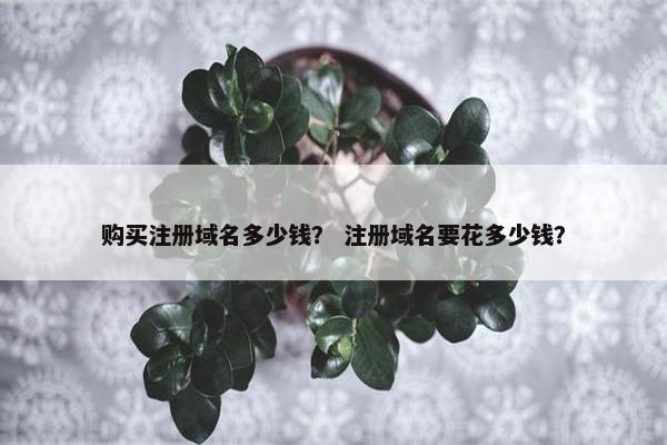 购买注册域名多少钱？ 注册域名要花多少钱？