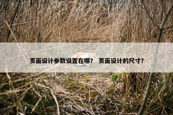 页面设计参数设置在哪？ 页面设计的尺寸？