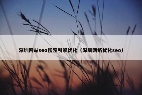 深圳网站seo搜索引擎优化（深圳网络优化seo）