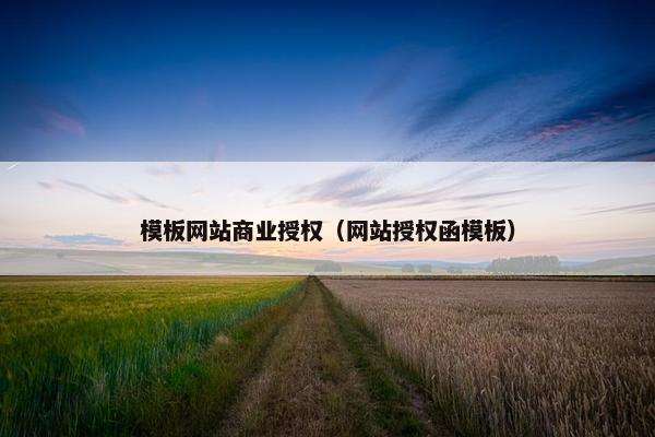 模板网站商业授权（网站授权函模板）