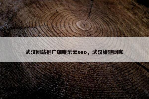 武汉网站推广珈唯乐云seo，武汉维迦网咖