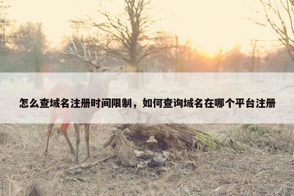 怎么查域名注册时间限制，如何查询域名在哪个平台注册