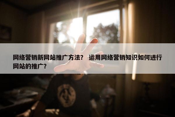 网络营销新网站推广方法？ 运用网络营销知识如何进行网站的推广？