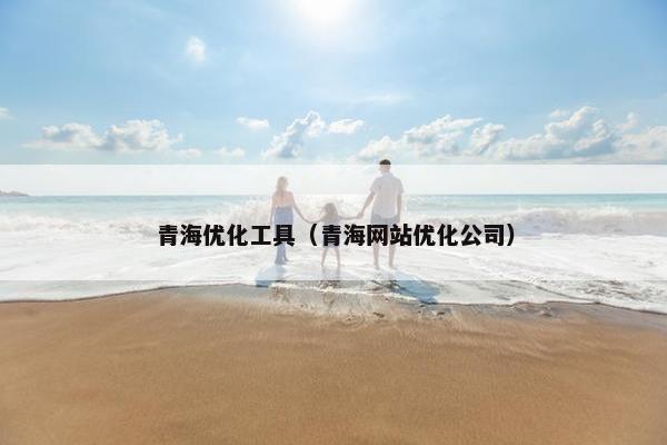 青海优化工具（青海网站优化公司）