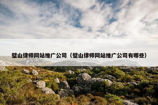 璧山律师网站推广公司（璧山律师网站推广公司有哪些）