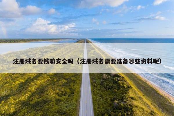 注册域名要钱嘛安全吗（注册域名需要准备哪些资料呢）