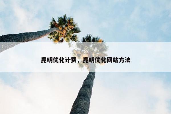 昆明优化计费，昆明优化网站方法