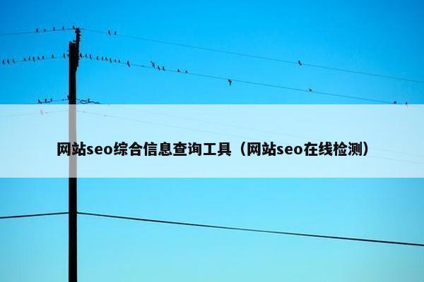 网站seo综合信息查询工具（网站seo在线检测）