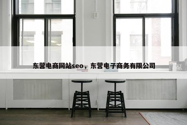 东营电商网站seo，东营电子商务有限公司