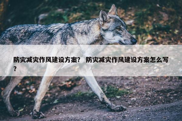 防灾减灾作风建设方案？ 防灾减灾作风建设方案怎么写？