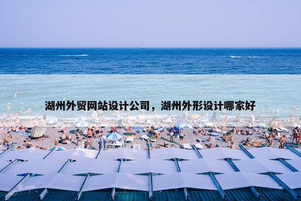 湖州外贸网站设计公司，湖州外形设计哪家好