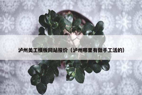 泸州美工模板网站报价（泸州哪里有做手工活的）