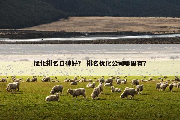 优化排名口碑好？ 排名优化公司哪里有？