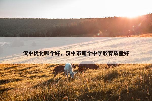 汉中优化哪个好，汉中市哪个中学教育质量好