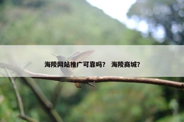 海陵网站推广可靠吗？ 海陵商城？