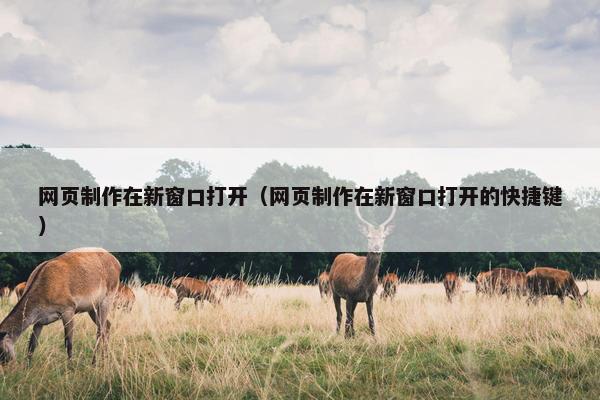 网页制作在新窗口打开（网页制作在新窗口打开的快捷键）