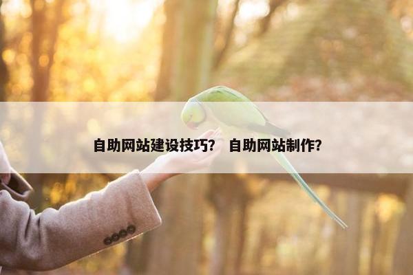 自助网站建设技巧？ 自助网站制作？