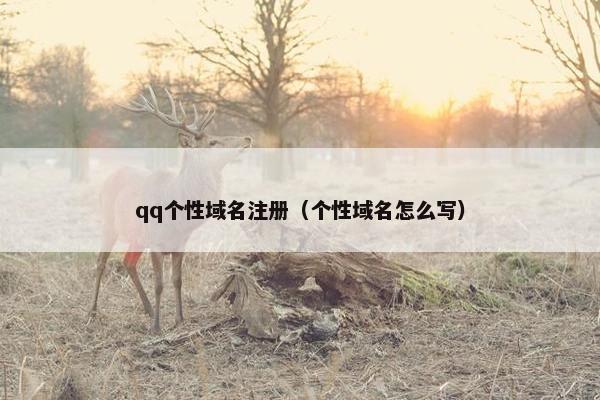 qq个性域名注册（个性域名怎么写）