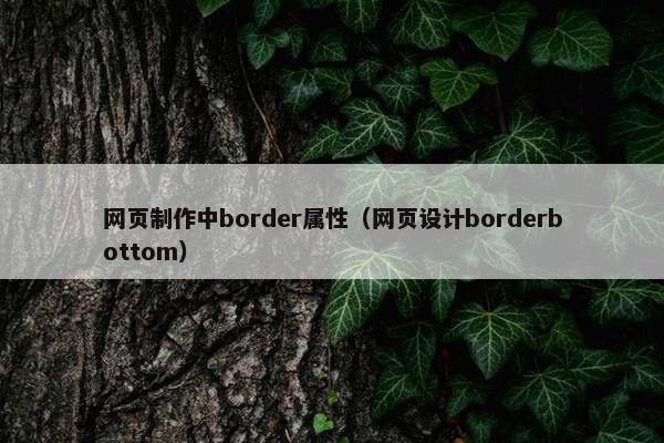 网页制作中border属性（网页设计borderbottom）