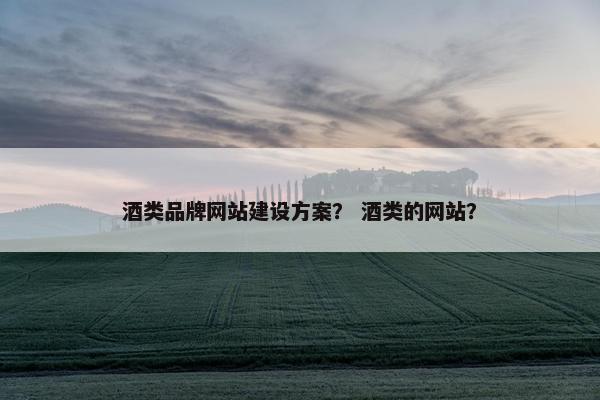 酒类品牌网站建设方案？ 酒类的网站？